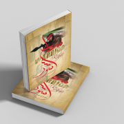 نشر گوی - سلحشور